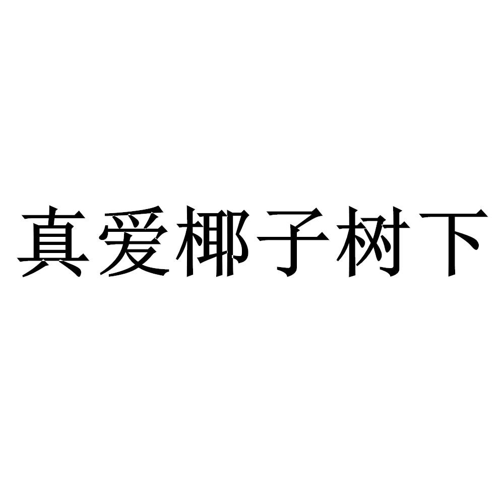 真爱椰子树下