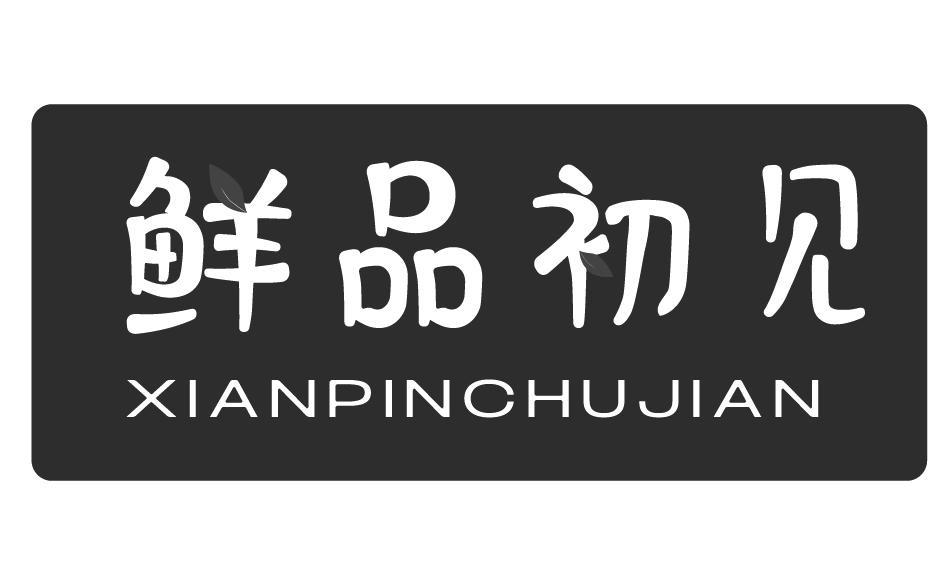 鲜品初见